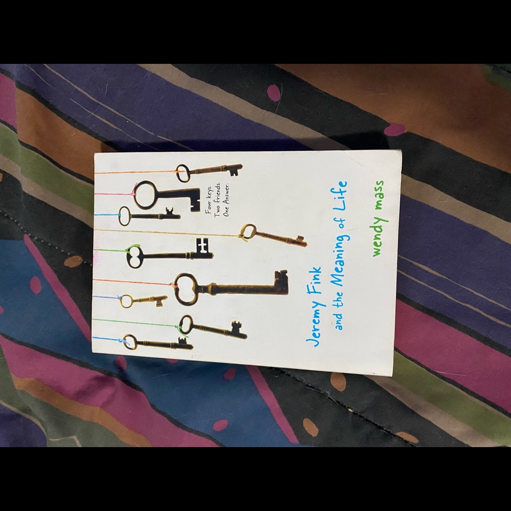 jeremy fink & the meaning of life by wendy mass book